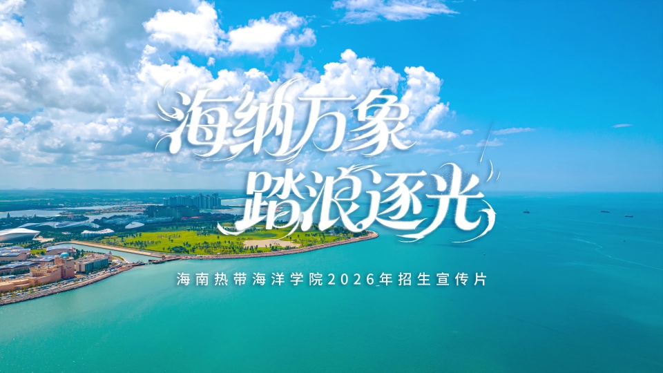 宣传视频